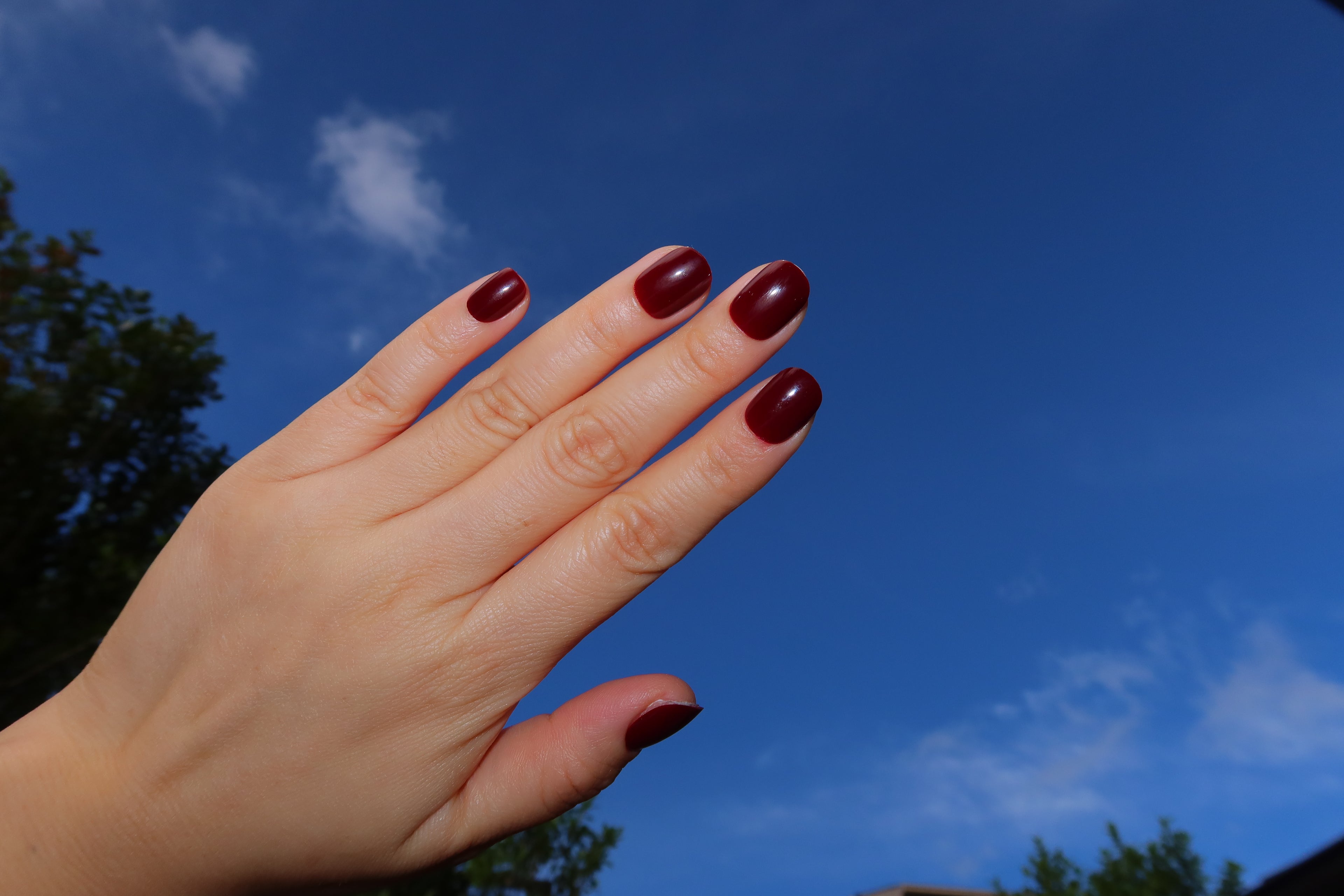 Waiheke Merlot (acrylic•extra short)