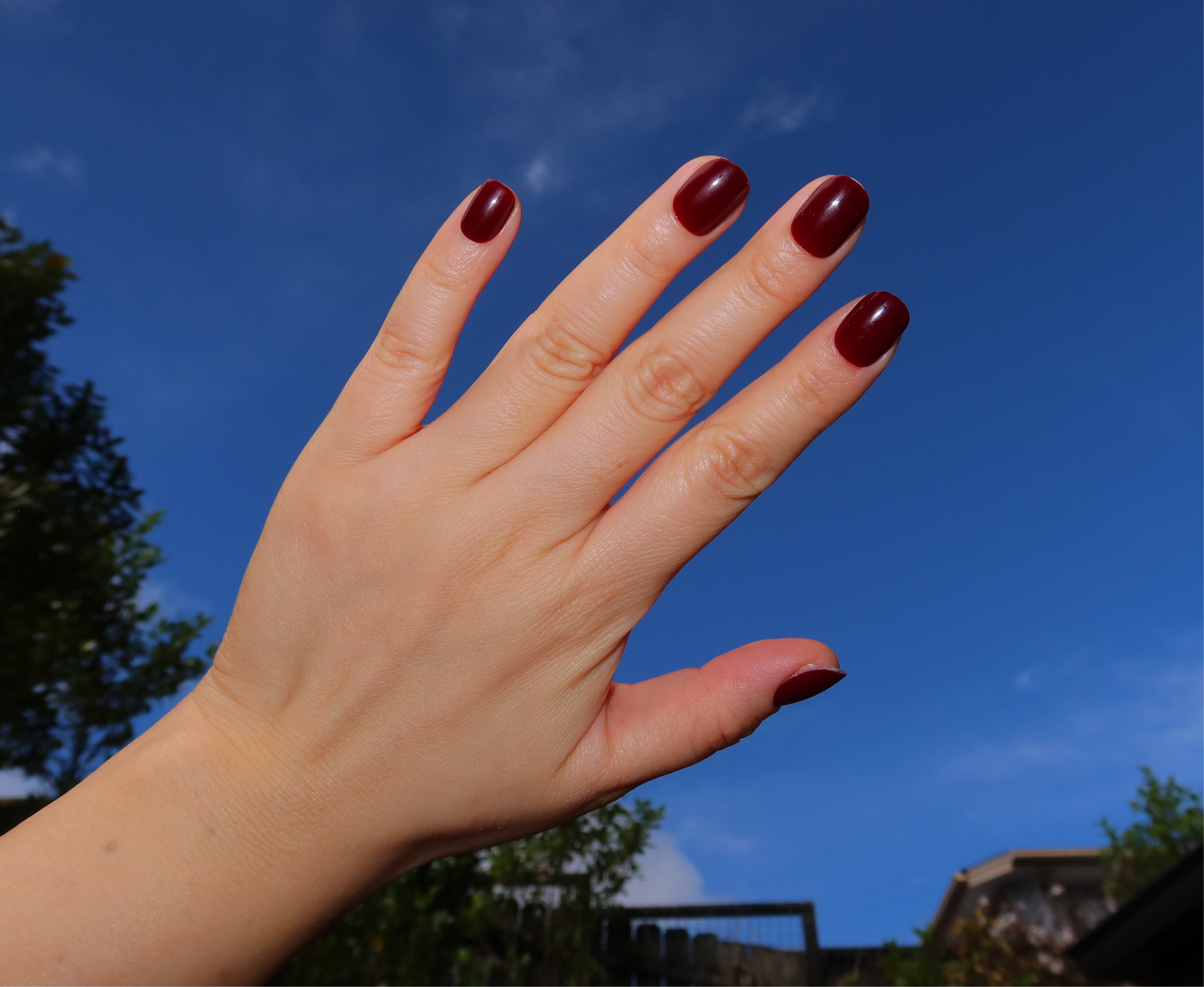 Waiheke Merlot (acrylic•extra short)